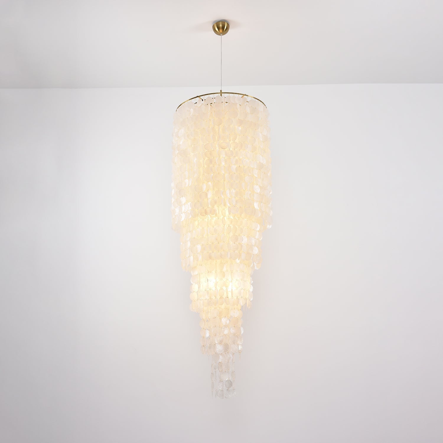 Nerida Shell Chandelier