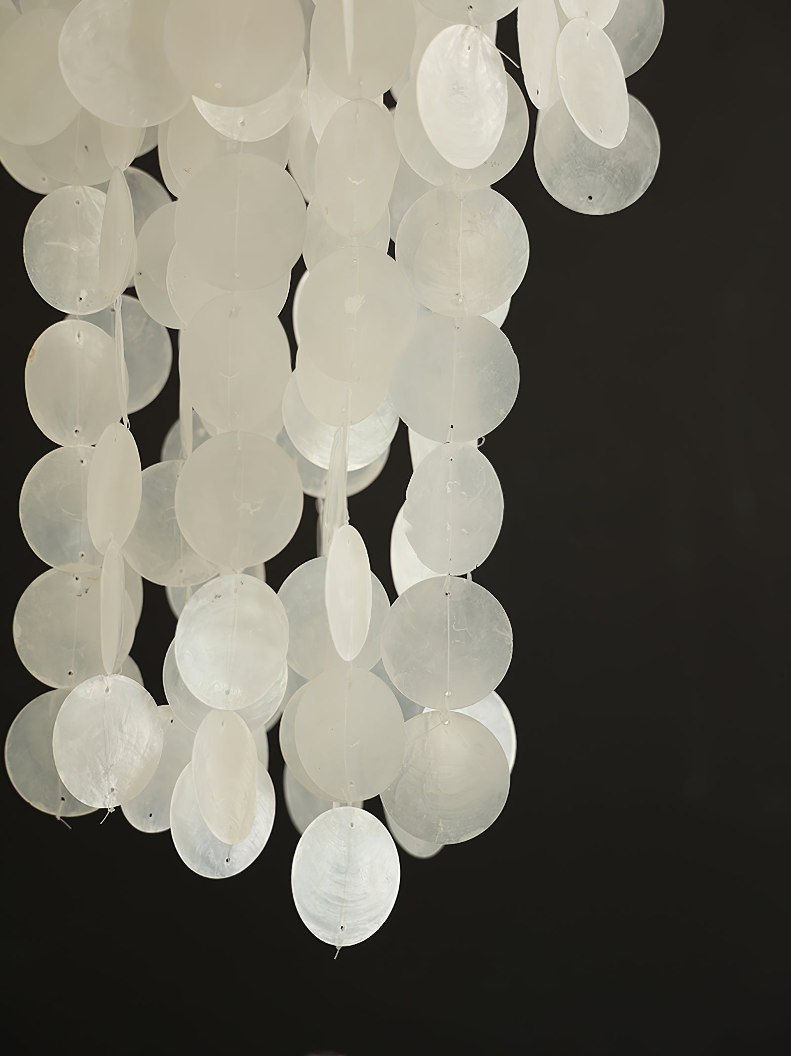 Nerida Shell Chandelier