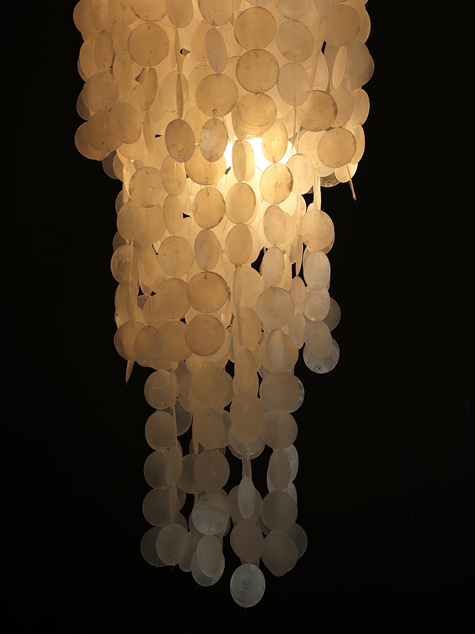 Nerida Shell Chandelier