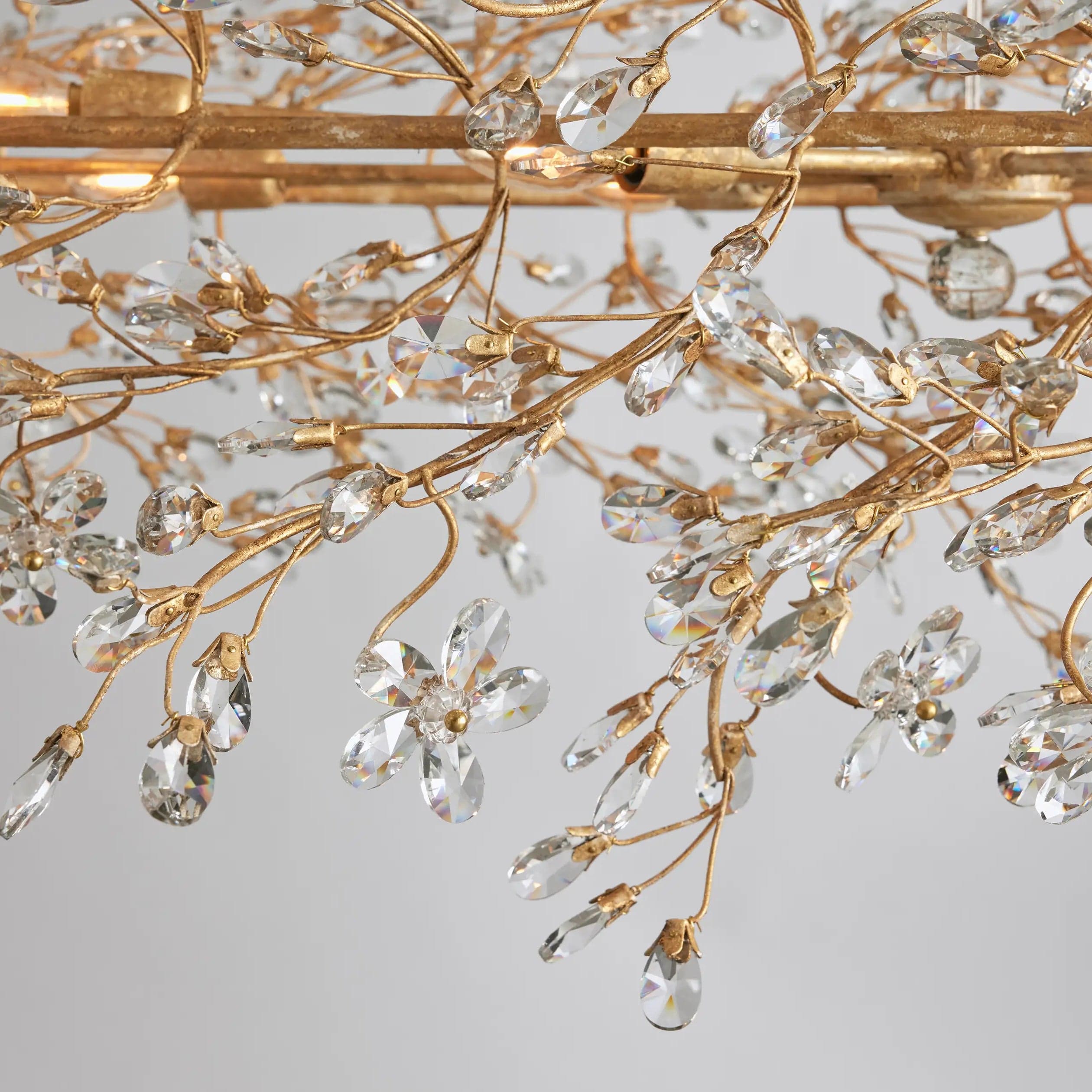 Fiore Oval Chandelier 62